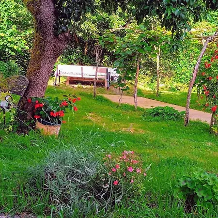 La Casa De Ethel En Norte De Espana Cangas de Onis