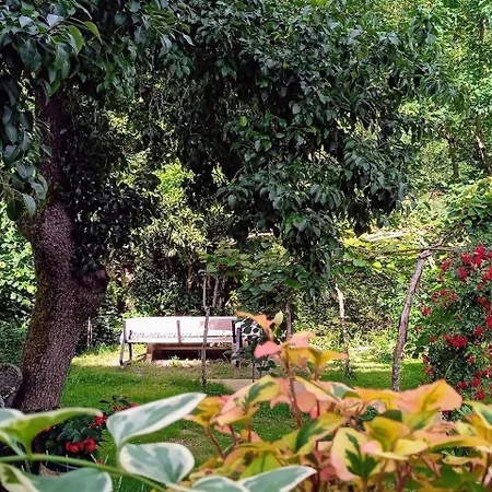 La Casa De Ethel En Norte De Espana Cangas de Onis
