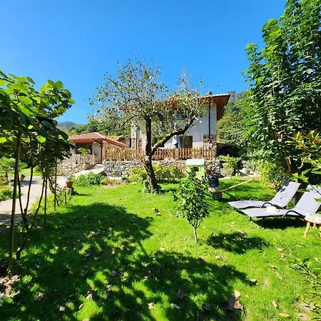 بيت للعطل La Casa De Ethel En Norte De Espana Vv-2427-as Onís